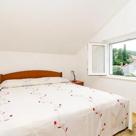 Appartement Nikola *