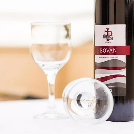 Apartman Nikola Dubrovnik