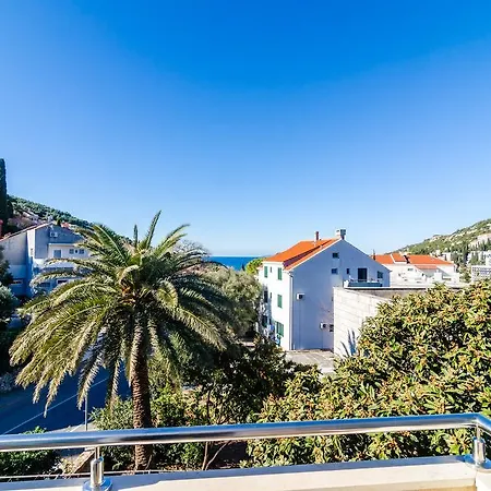 Nikola Dubrovnik