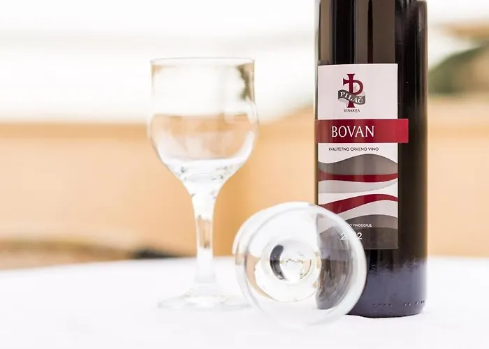 Διαμέρισμα Nikola Ντουμπρόβνικ