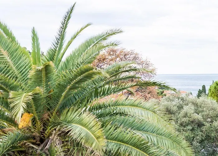 Nikola Ντουμπρόβνικ